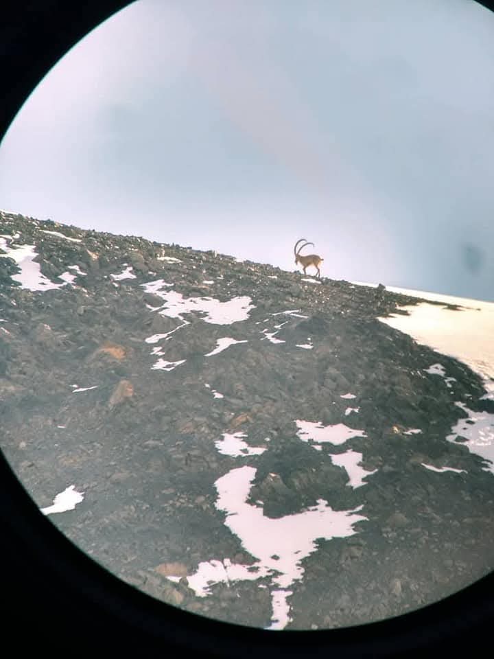 Hunting in Alaykuu 4